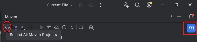 Import Maven Project